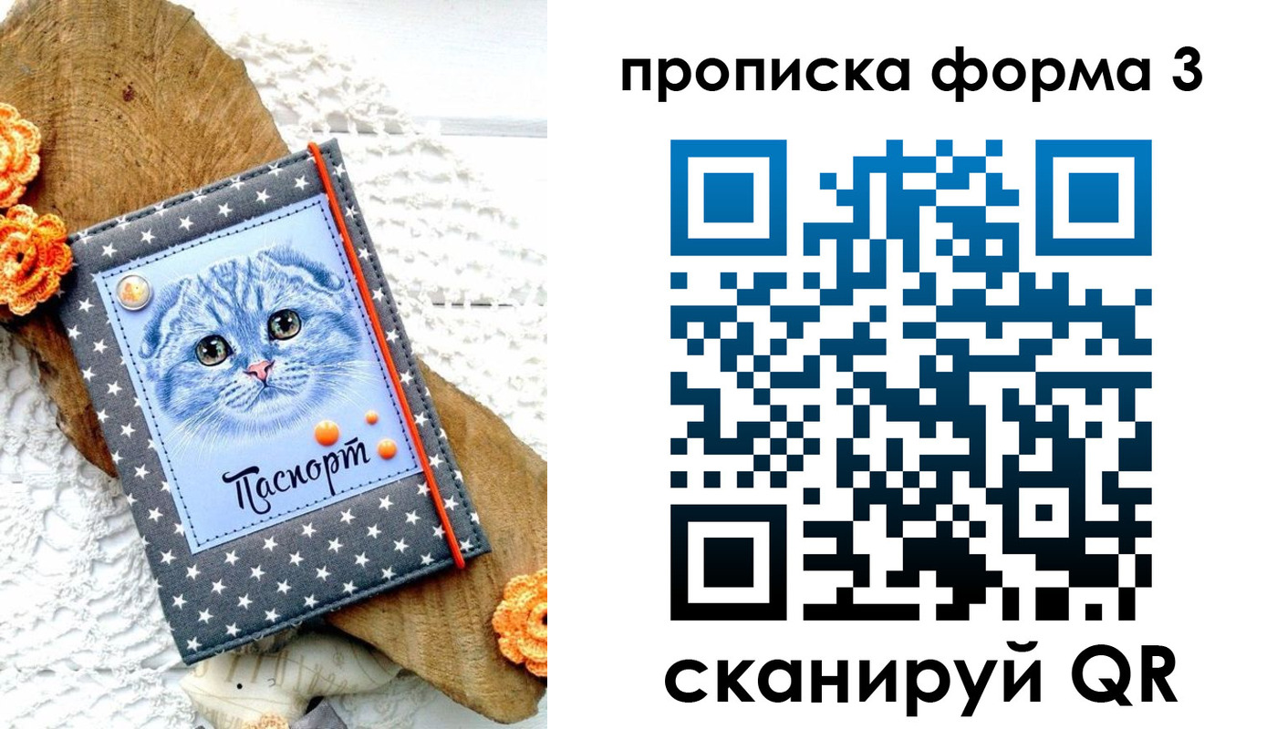 прописка поиск в Котово